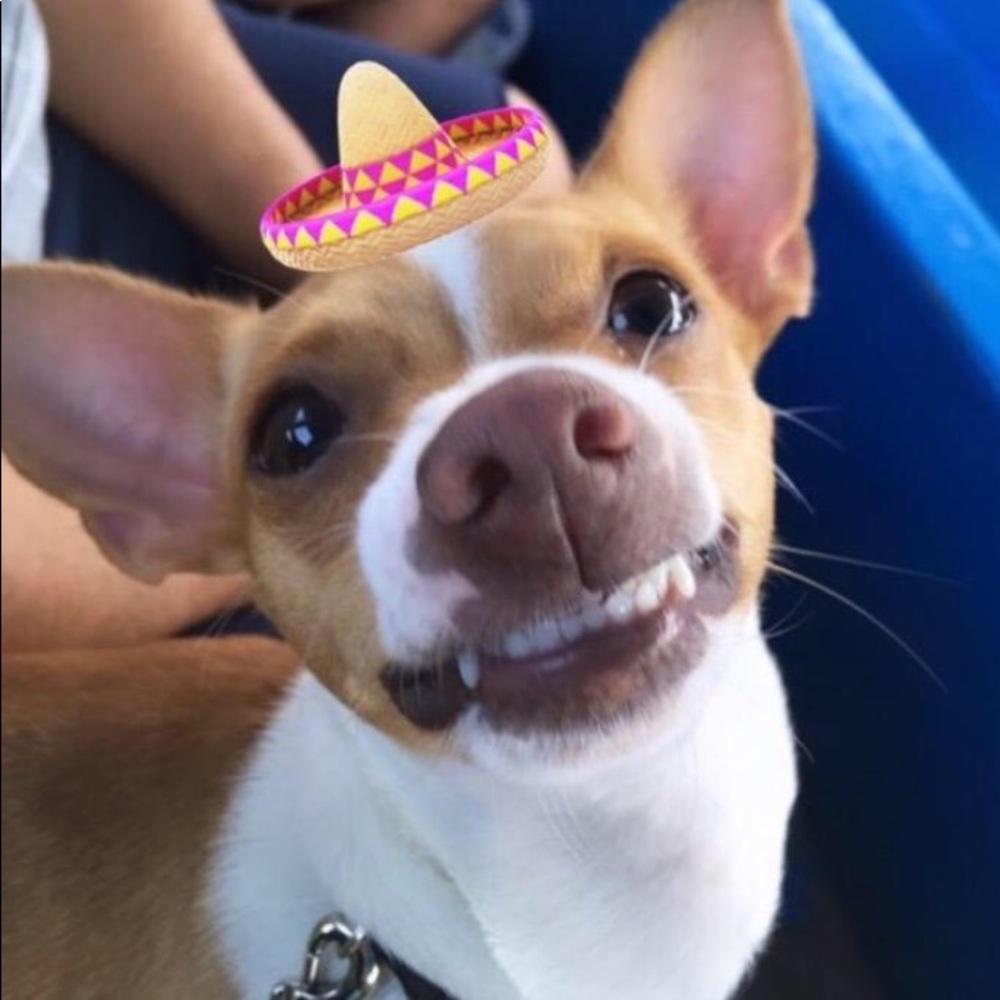 Meet your Posher, Von